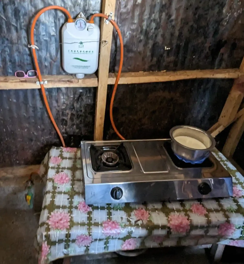 Biogas stove and filter